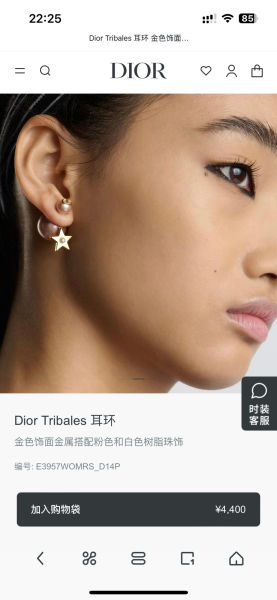 디올 트라이벌 스타 이어링