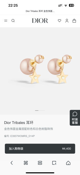 디올 트라이벌 스타 이어링