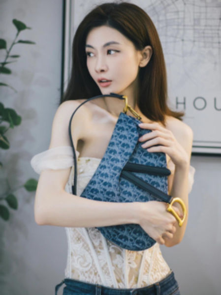 디올 새들 백 블루 자카드
