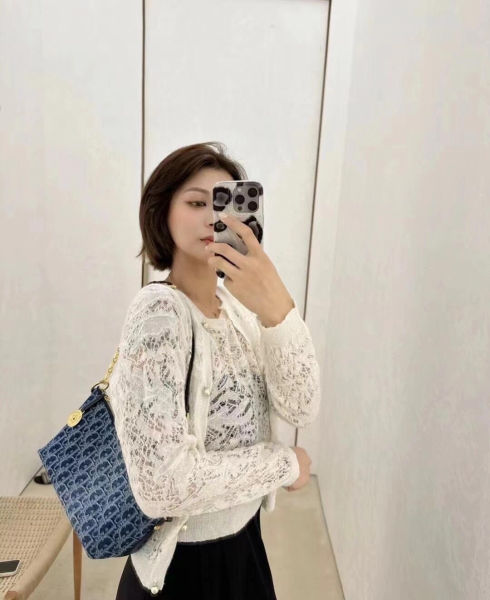 디올 디올스타 체인 호보백
