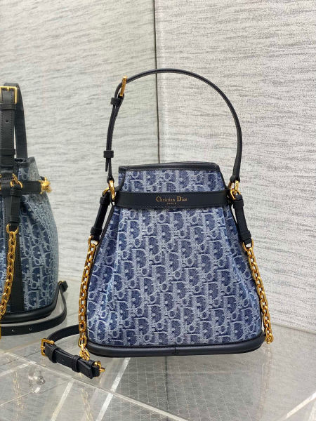 디올 C'est Dior 미디엄 백