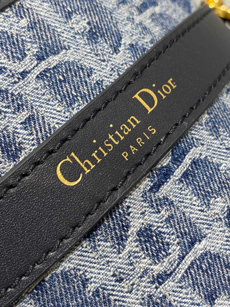 디올 C'est Dior 미디엄 백