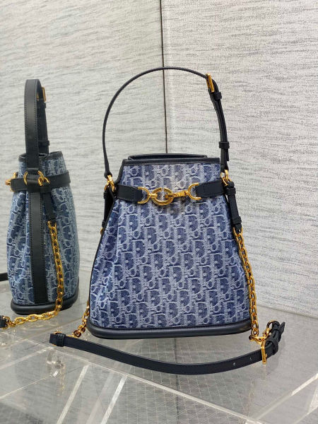 디올 C'est Dior 미디엄 백