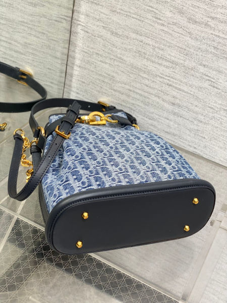 디올 C'est Dior 미디엄 백