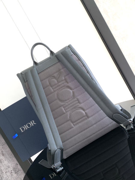 디올 히트 더 로드 백팩