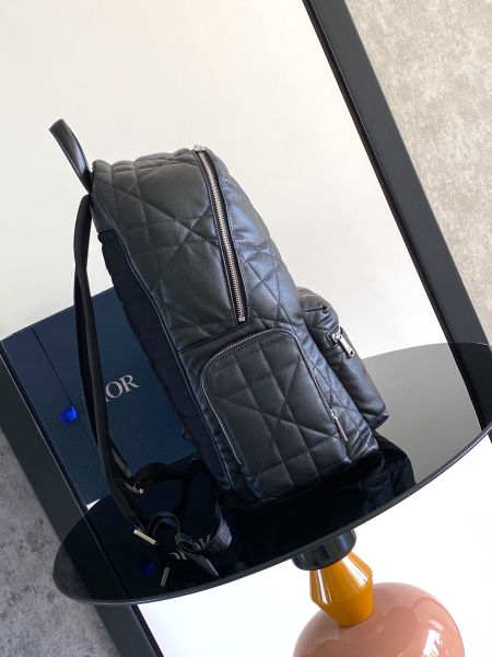 디올 새들 백팩