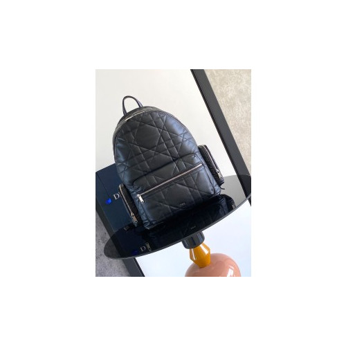 디올 새들 백팩