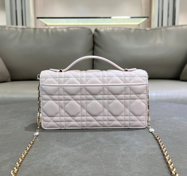 D. My Dior woc 미니 체인백(2color)