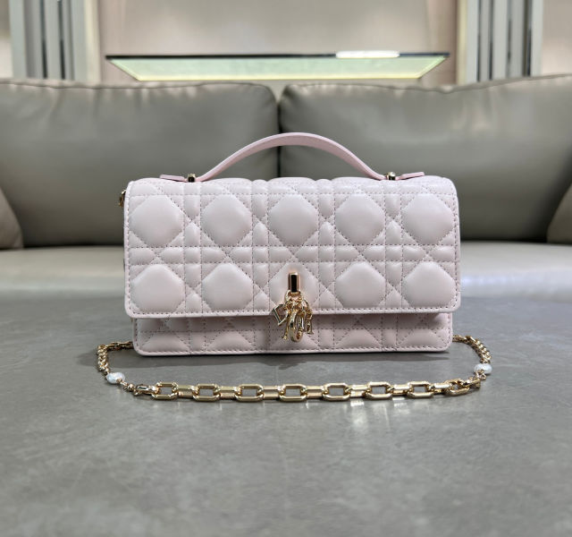 D. My Dior woc 미니 체인백(2color)