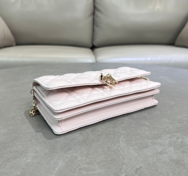 D. My Dior woc 미니 체인백(2color)
