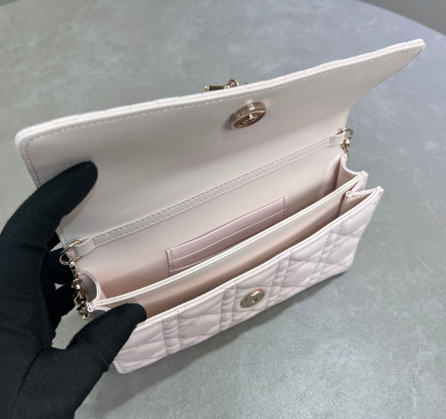 D. My Dior woc 미니 체인백(2color)