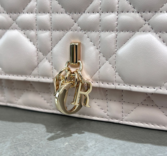 D. My Dior woc 미니 체인백(2color)