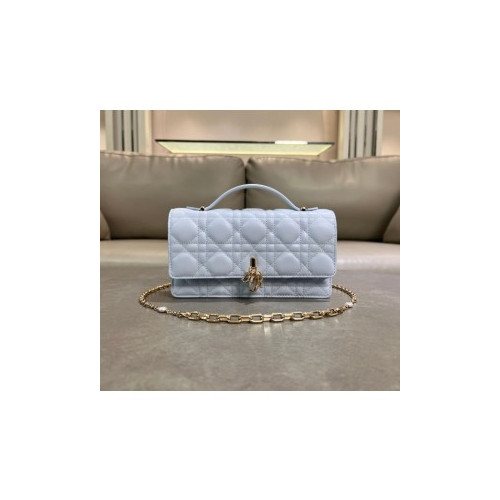 D. My Dior woc 미니 체인백(2color)