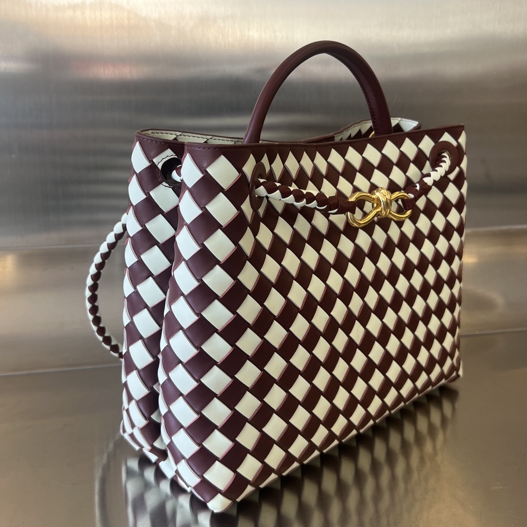 보테가 미디엄 안디아모