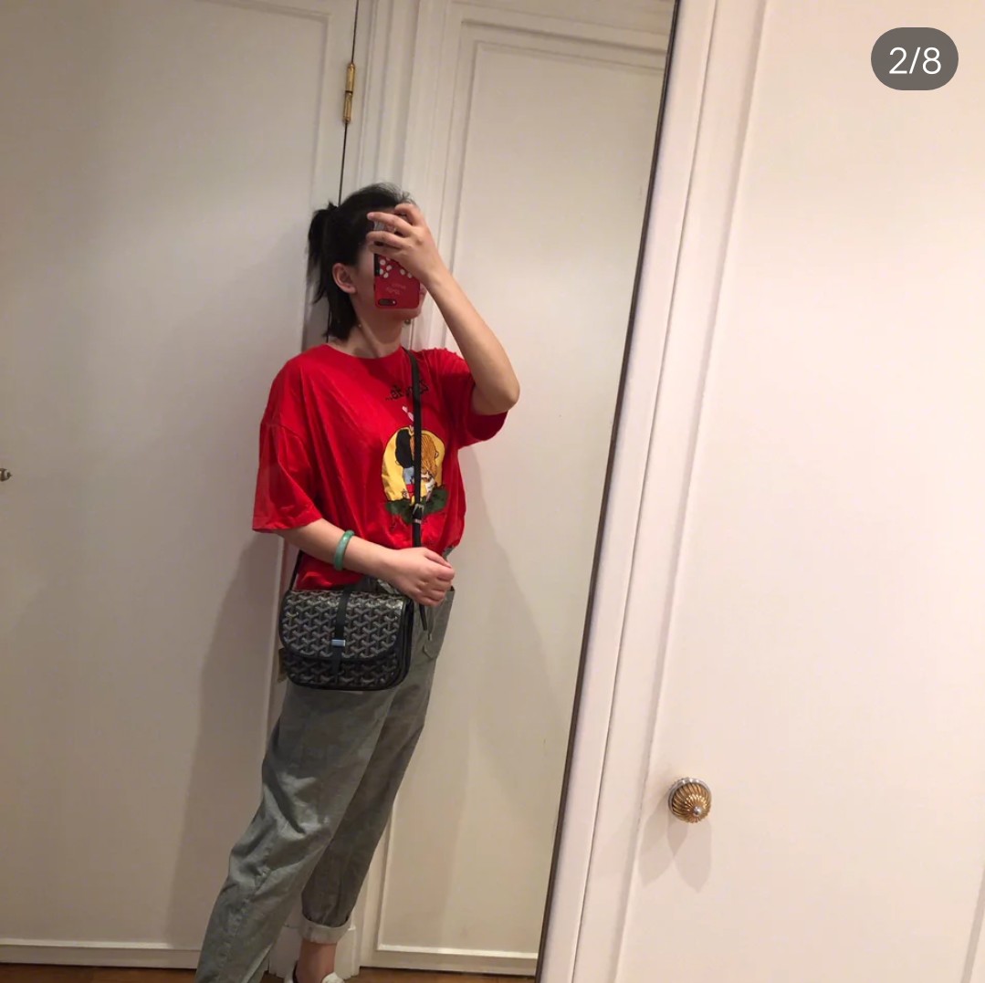 고야드 벨베데레 백