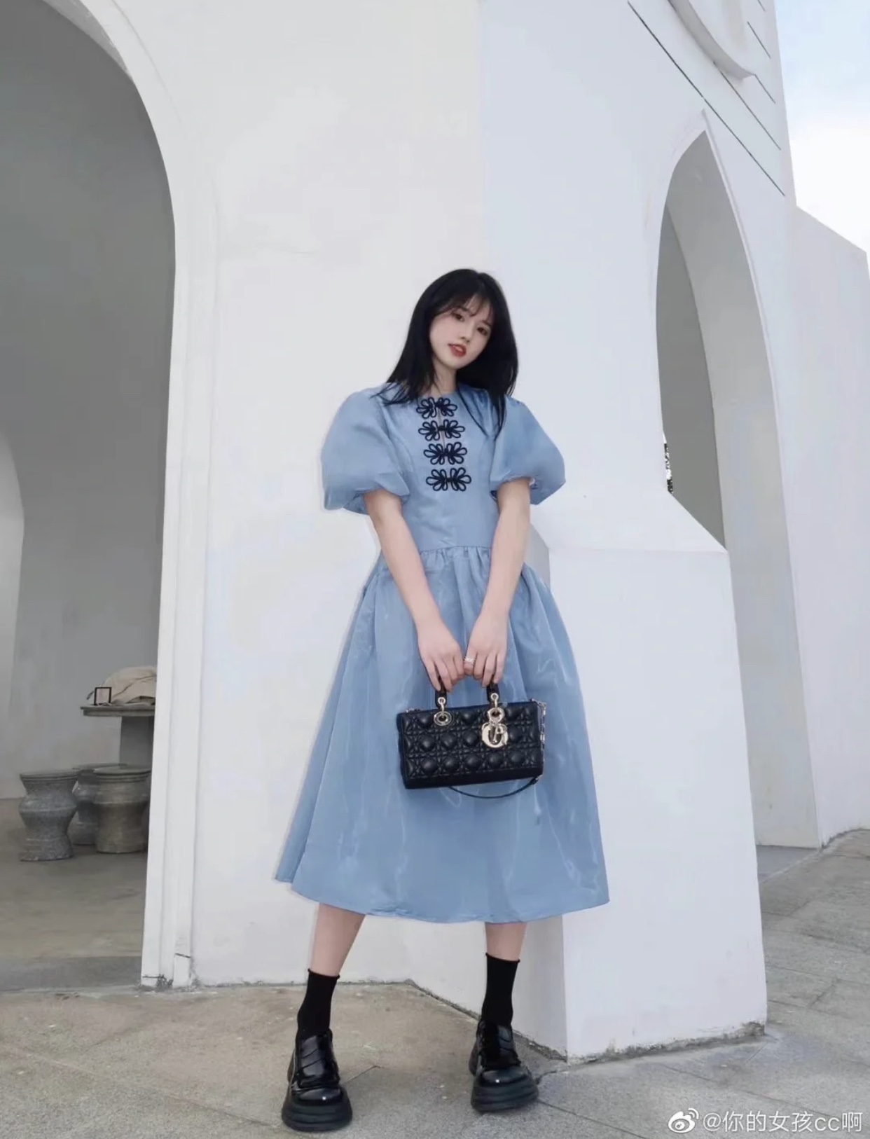 D.  레이디 디조이백